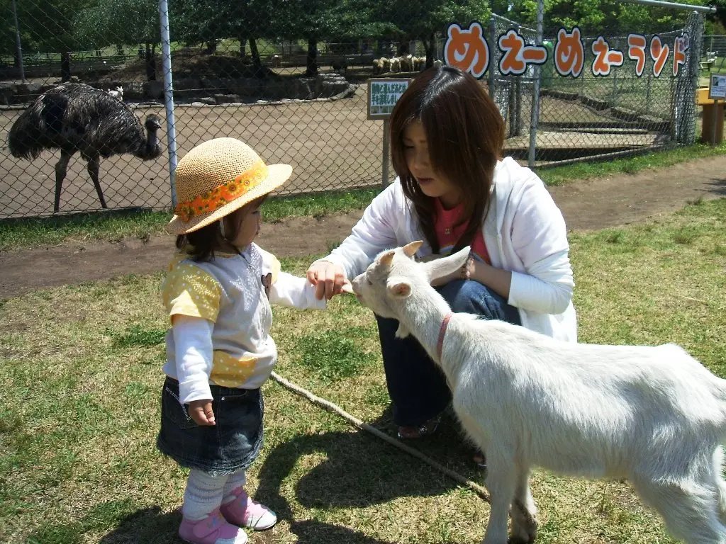 🐐 다이센 톰 소여 목장 (다이센 토무소야 보쿠조) 이미지 4